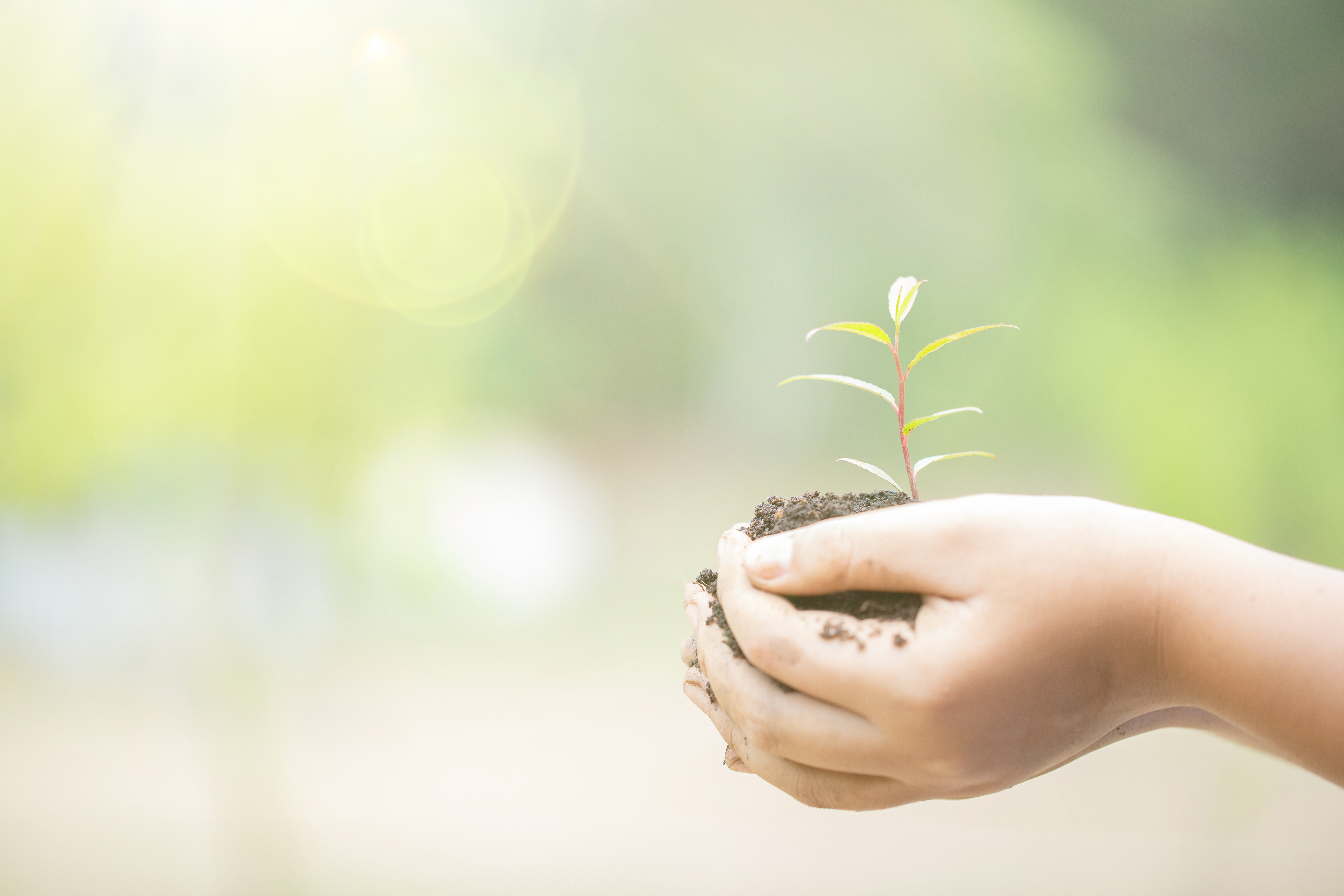 Les bonnes raisons d’investir dans l’immobilier en 2025