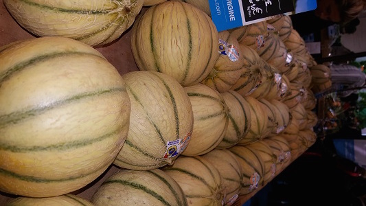 Melon Guadeloupe