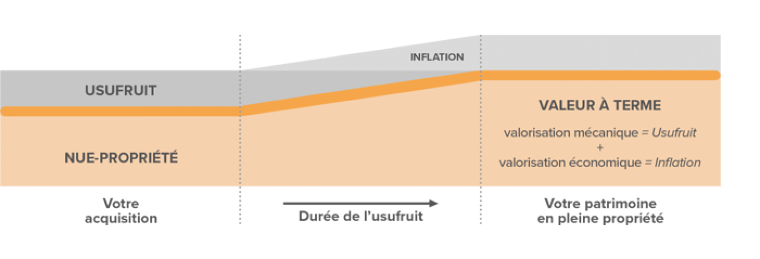 Graphique fonctionnement démembrement